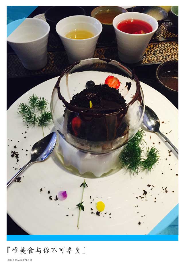 2015年第十二屆上海模型展，大華參展！